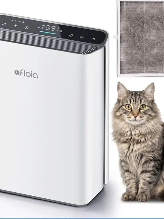 Air Purifier for home
