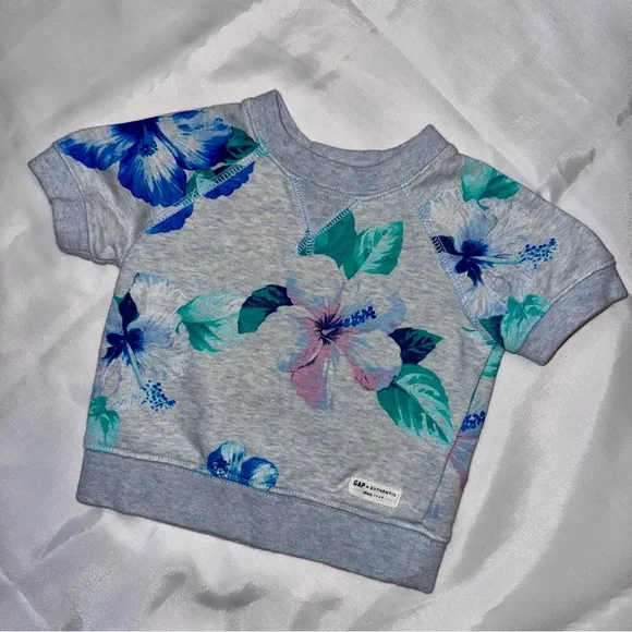 Baby Gap 6-12 mos Girl S/S Gray‎ Blue Pink Big Flowers Fleece/Top/Shirt