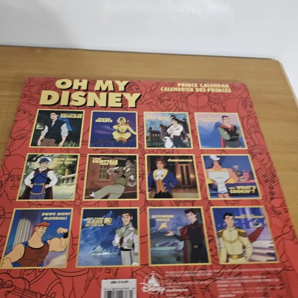 Oh My Disney DIY ANY YEAR Calendar Princes NEW Rare