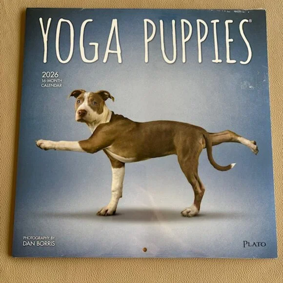Yoga Puppies 2026 Wall Calendar 16 Months 12