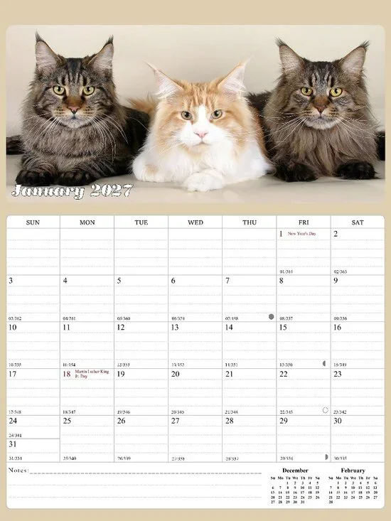 2027 Calendar Magnetic Peel & Stick 12 Months 8.5