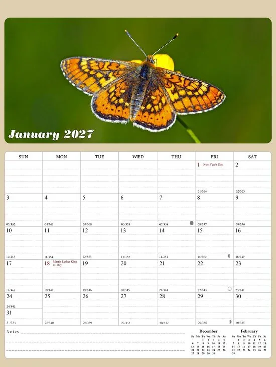 2027 Calendar Magnetic Peel & Stick 12 Months 8.5