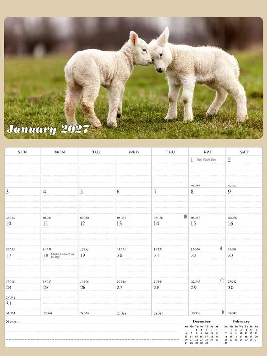 2027 Calendar Magnetic Peel & Stick 12 Months 8.5