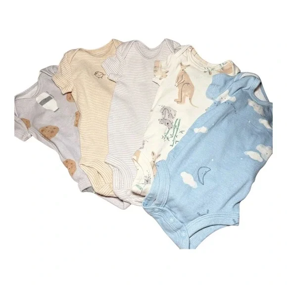 Cottagecore Carter's Bodysuit Set NB Newborn Multicolor Animal Cookies Clouds