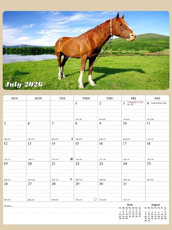 2026 - 2027 Calendar Magnetic Peel & Stick 18 Months 8.5