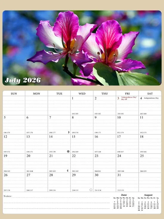 2026 - 2027 Calendar Magnetic Peel & Stick 18 Months 8.5