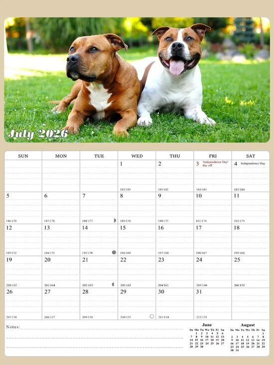 2026 - 2027 Calendar Magnetic Peel & Stick 18 Months 8.5