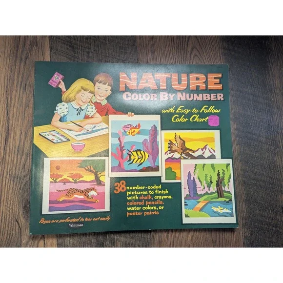 1962 Whitman Nature Color By Number Book Drawings by Judy Stang‎ 11x13