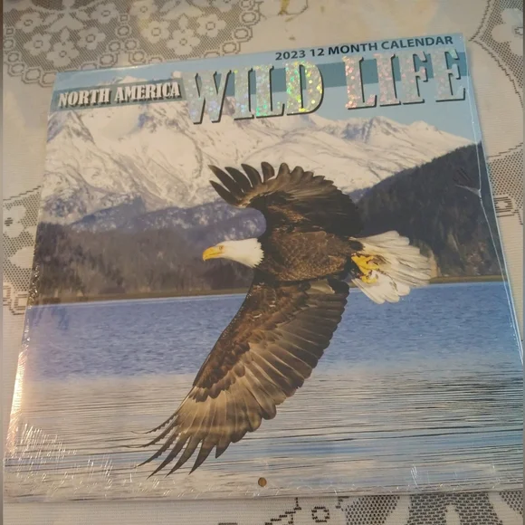 North America Wild Life 12*12