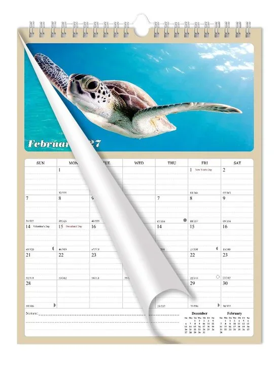 2027 Wall Calendar Spiral-bound Twin - 12 Months Planner 8.5 x 11 (Turtles)