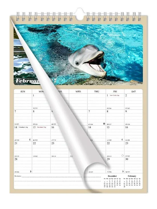 2027 Wall Calendar Spiral-bound Twin - 12 Months Planner 8.5