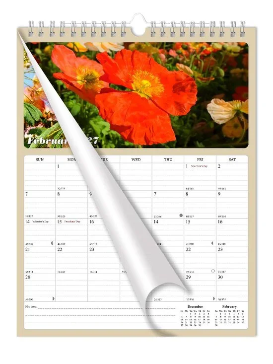 2027 Wall Calendar Spiral-bound Twin - 12 Months Planner 8.5