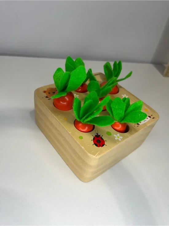 Wooden Pop-Up Garden Toy - Green & Orange Felt Leaves