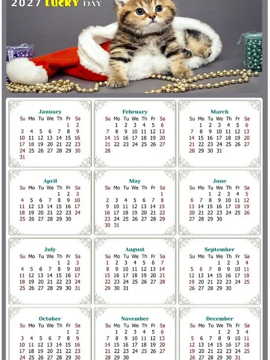 2027 Magnetic Calendar - Today is my Lucky Day - Cat Themed 023 (7 x 10.5)