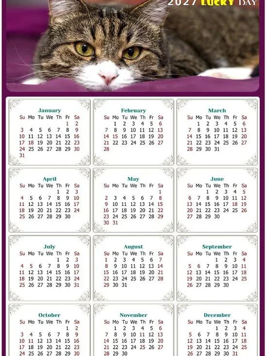 2027 Magnetic Calendar - Today is my Lucky Day - Cat Themed 022 (7 x 10.5)