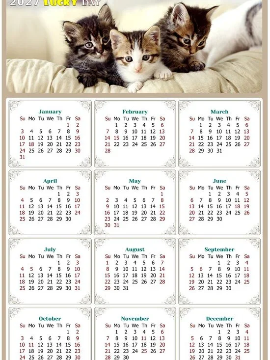 2027 Magnetic Calendar - Today is my Lucky Day - Cat Themed 021 (7 x 10.5)