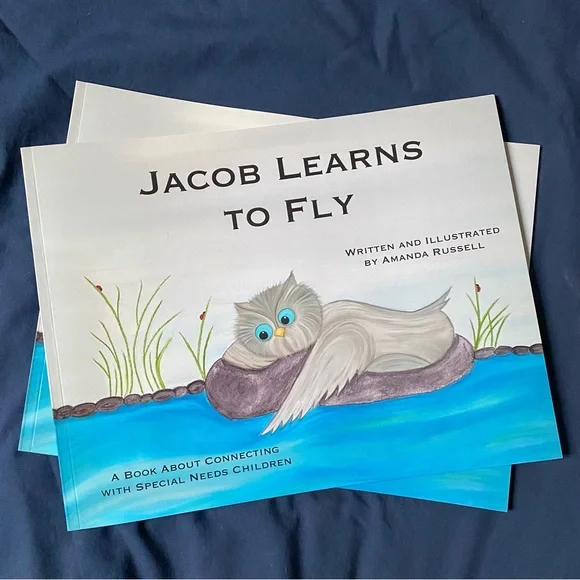 Jacob Learns to Fly PLUS Craft Project Written and Illustrated by Amanda…