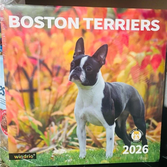 NEW Sealed 2026 BOSTON TERRIER 12 Month Wall calendar
