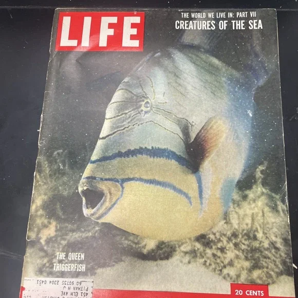 LIFE Magazine, NOVEMBER 30, 1953, THE‎ WORLD WE LIVE IN PART: PART VII, SEA!