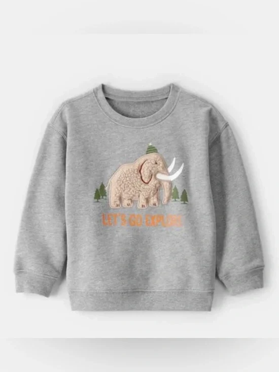 Carter's Gray Mammoth 'Let's Go Explore' Pullover Sweatshirt 2T