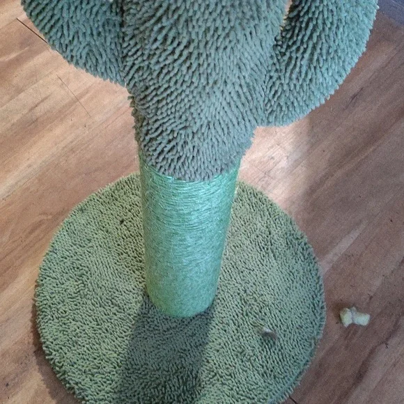 Cat tree we got for my cat he doesn't uses it