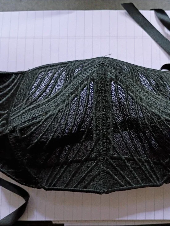 Black Embroidered Lace Face Mask