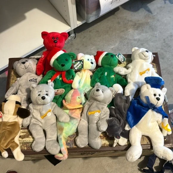 Beanie babies 13 and all