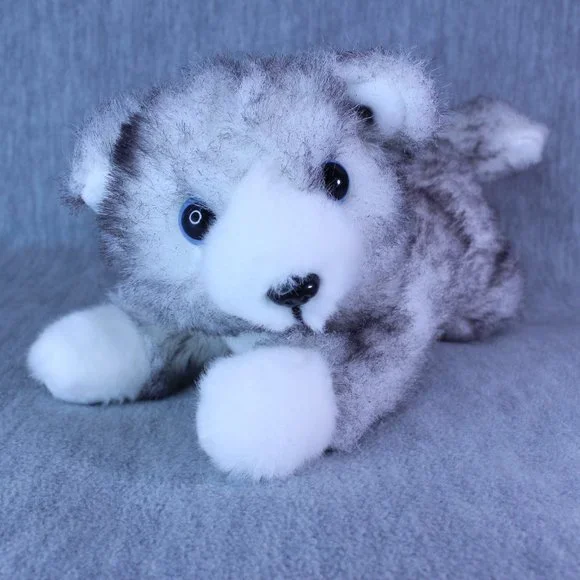 DOG SIBERIAN HUSKY 10