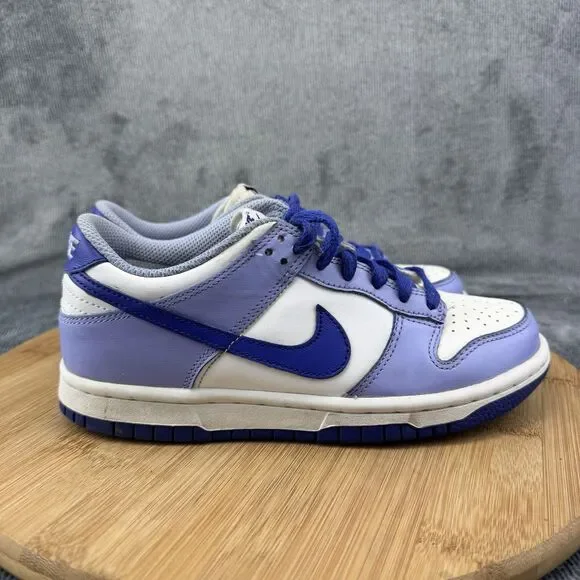 Nike Dunk Low Shoes Boys Size 3.5Y Blue White Basketball Sneakers DZ4456-100
