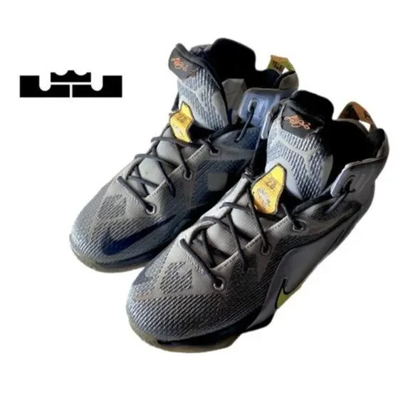 Nike LeBron 12 Flight Pack Basketball Sneakers | Style 685181-080