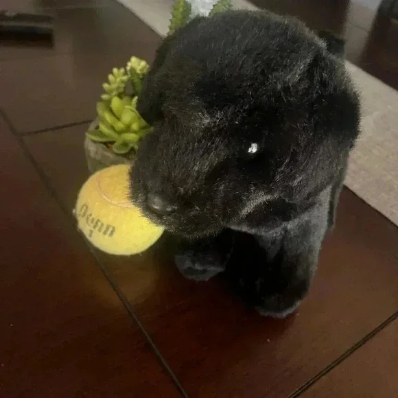 Child’s Black Puppy Plush