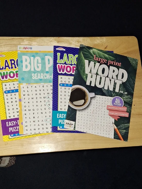 4 Large Print Word Hunt Puzzle Books NEW