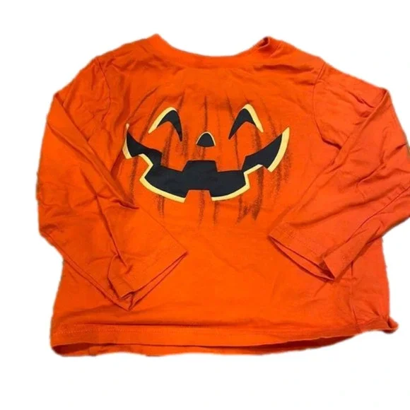 THE CHILDREN'S PLACE The childrens place 18-24 long sleeve top