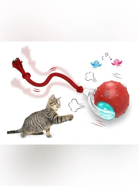 Interactive Cat Toys Ball for Indoor Cats, Motion Activate Cat Toys. NEW