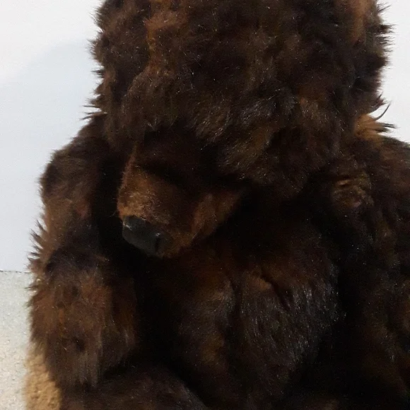 RARE VINTAGE DISNEY PARKS DISNEYLAND COUNTRY BEAR 16