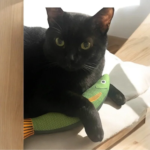 HP🎉 Bundle of Cat Toys! Green Saury Fish~ Inner Rattle, Soft + EXTRAS