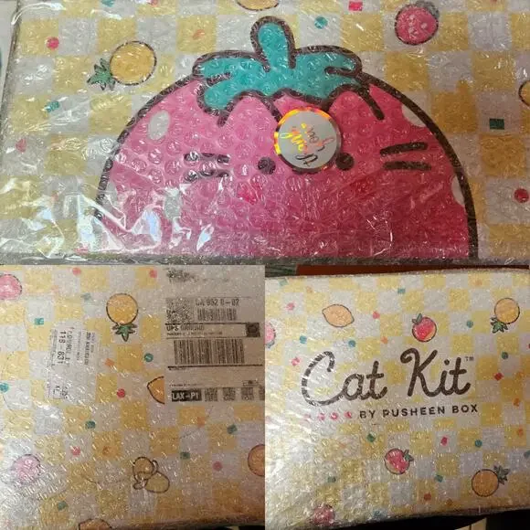 SEALED SUMMER 2024 FRESH PICKED Pusheen Box