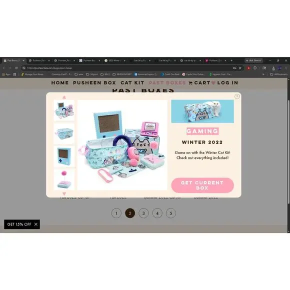 Winter 2022 Cat Kit Pusheen box GAMING
