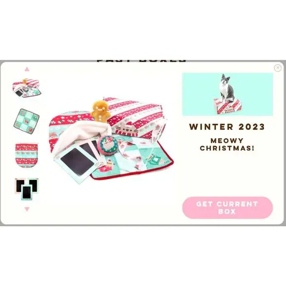 SEALED Winter 2023 Cat Kit Pusheen box HOME SWEET HOME