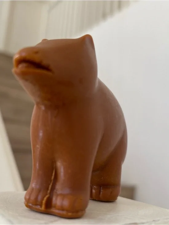 Brown Bear vintage animal super cute decoration looks like caramel used