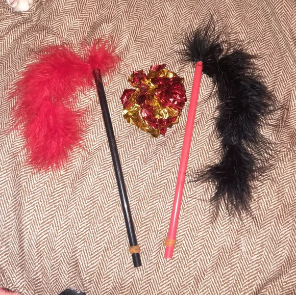 Cat Toys