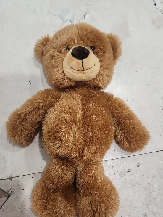 Ritz Hotel PARIS Brown Plush Teddy Bear - Soft Stuffed Animal