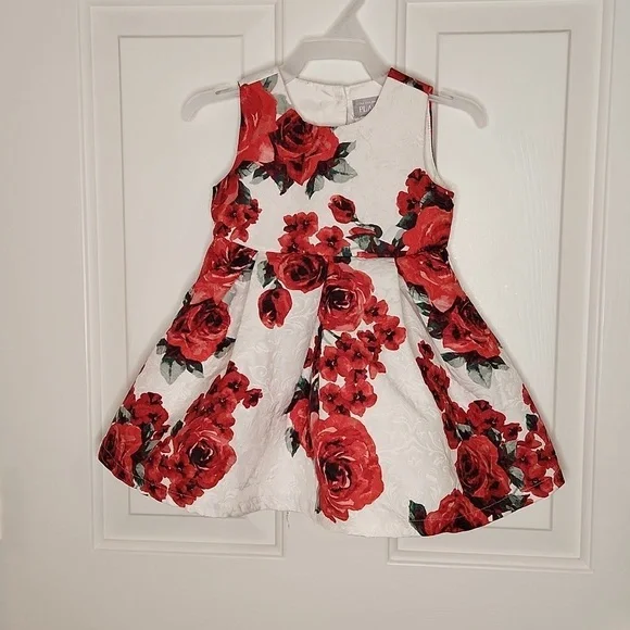 The Children's Place Cream Red Floral Dress Size 12-18M
