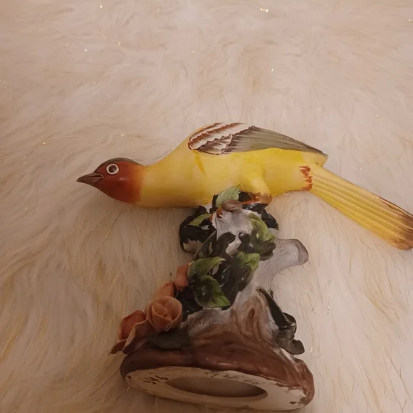 Oriolus larvatus bird
