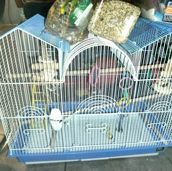 Bird Cage, Accessories, Food, Snacks