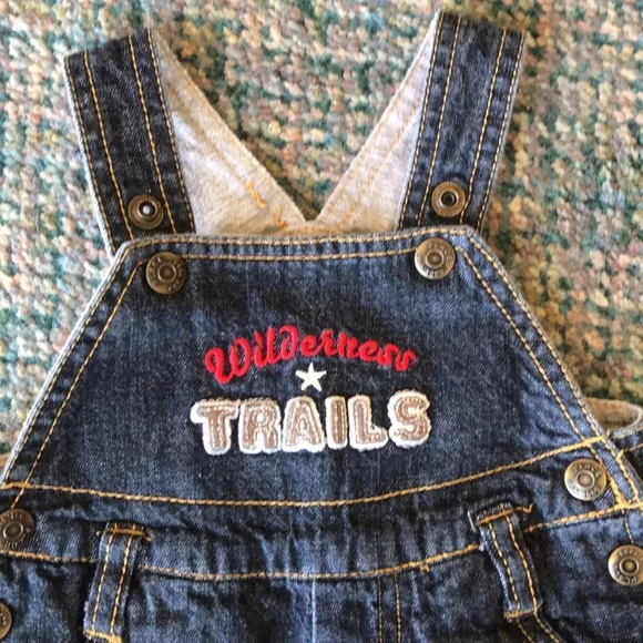 The Children’s Place Denim Overalls