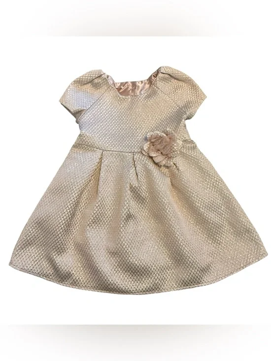 The Children's Place Girls 4T Pink Dress Gold Shimmer Rose Party Dress