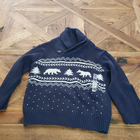 THE Children's Place Boys 2t heavy Sweater