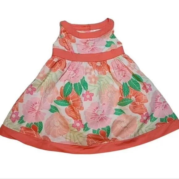 Gymboree Fairy Bloosom Dress 12 month & 18 month NWOT