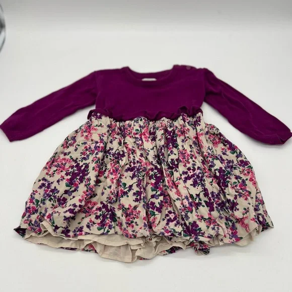 Gymboree Girls Dress Purple Floral Long Sleeves 2T